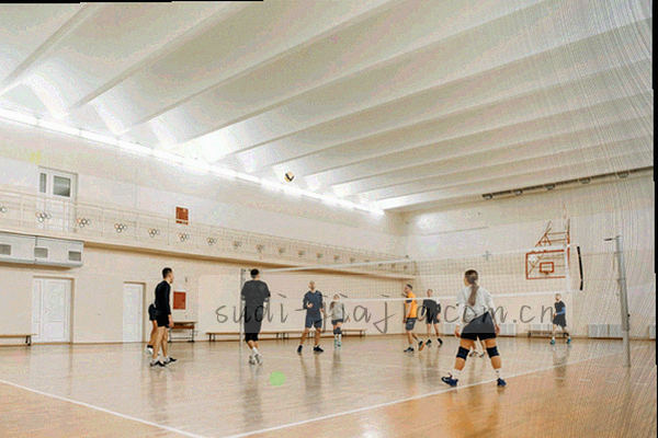 球队库数据展示，球队列表与近五场战绩柱状图同步呈现
